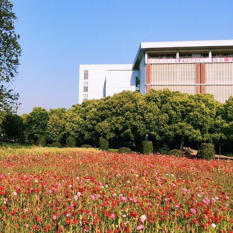 核科学与技术知识库